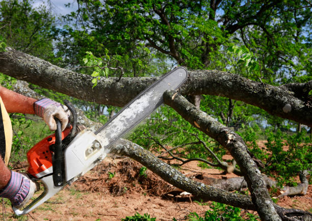 Soil Testing and Treatment in Berea, SC